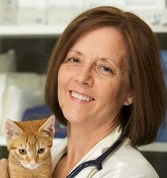 Dr. Diana Jones