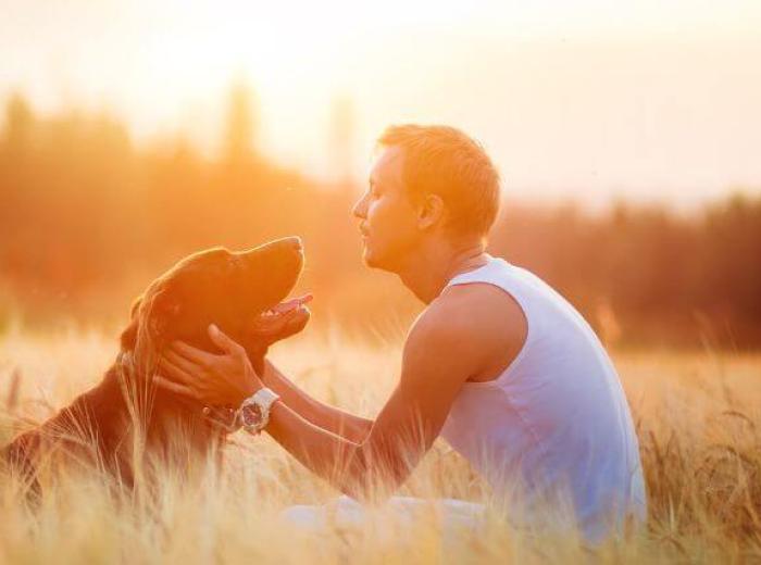 Understanding Pet Euthanasia: What to Expect and How to be Prepared